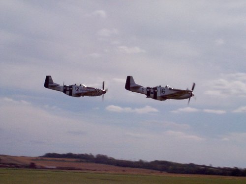 Low Level Mustangs!